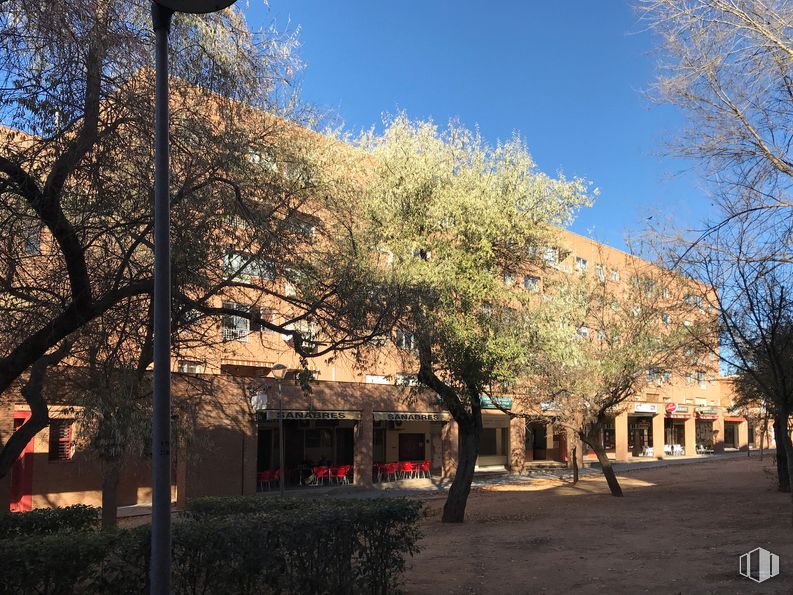 Retail for sale at Calle Hermanos Fernández Galiano, 5, Guadalajara, 19004 with tree, neighbourhood, public space, residential area, urban design, shade, woody plant, sidewalk and suburb around