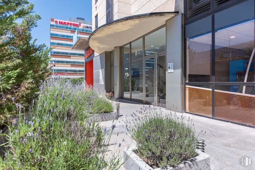 Nave en venta en Calle María Tubau, Fuencarral - El Pardo, Madrid, 28049 con planta, propiedad, edificio, diseño urbano, accesorio, zona residencial, ventana, ciudad, condominio y inmobiliario alrededor