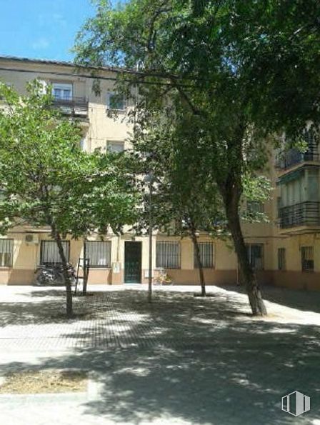 Retail for sale at Calle Aliseda, Carabanchel, Madrid, 28025 with house, branch, neighbourhood, residential area, human settlement, apartment, shade and condominium around