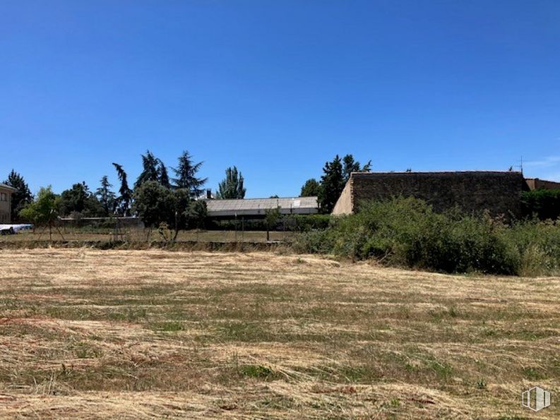 Land for sale at Carretera Turégano, 1, Torrecaballeros, Segovia, 40610 with sky, plant, tree, natural landscape, landscape, grass, grassland, agriculture, prairie and pasture around