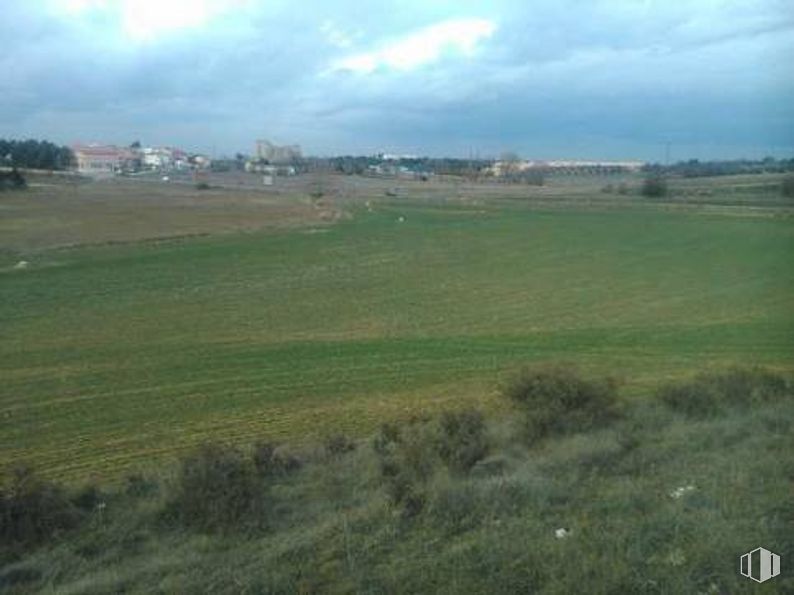 Land for sale at Sector S.U. 15 Polígono 6 Parcela 148, Pioz, Guadalajara, 19162 with cloud, sky, tree, natural landscape, plant, grassland, plain, grass, landscape and meadow around