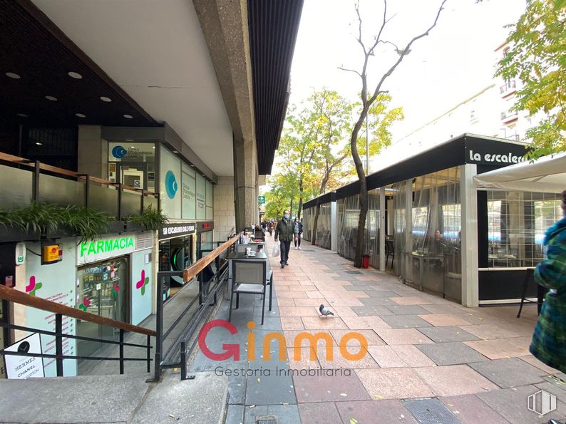 Local en venta en Calle Diego de León, Salamanca, Madrid, 28006 con árbol, superficie de la carretera, arquitectura, edificio, diseño urbano, cielo, ocio, acera, planta y área metropolitana alrededor