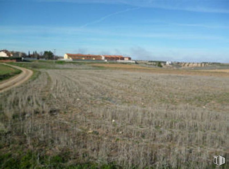 Suelo en venta en Camino Medio, Ciruelos, Toledo, 45314 con cielo, nube, planta, paisaje natural, lote de terreno, agricultura, llano, horizonte, pradera y paisaje alrededor