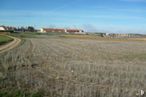 Land for sale at Camino Medio, Ciruelos, Toledo, 45314 with sky, cloud, plant, natural landscape, land lot, agriculture, plain, horizon, grassland and landscape around