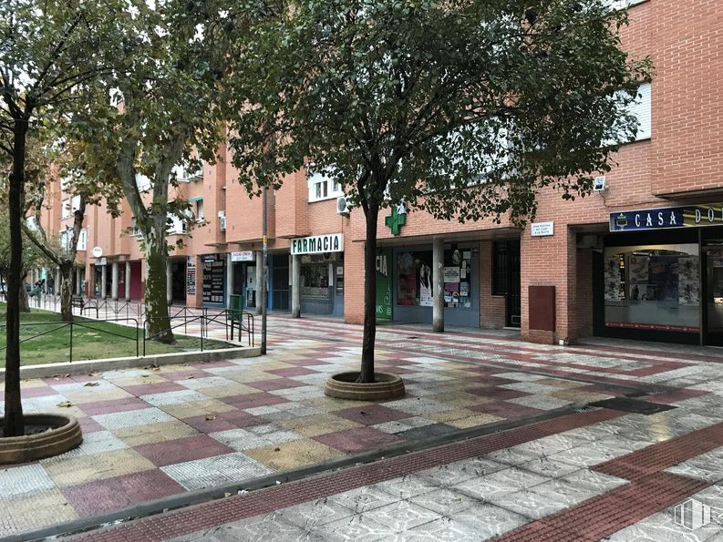 Local en alquiler en Plaza de Antonio Machado, 2 , Rivas-Vaciamadrid, Madrid, 28529 con edificio, planta, árbol, superficie de la carretera, diseño urbano, acera, ventana, ciudad, carretera y tintes y matices alrededor