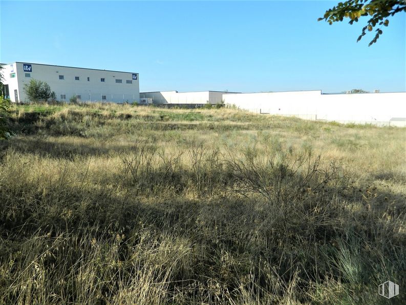 Suelo en venta en Calle Levante, Mejorada del Campo, Madrid, 28840 con edificio, cielo, planta, comunidad de plantas, paisaje natural, vegetación, lote de tierra, árbol, hierba y paisaje alrededor