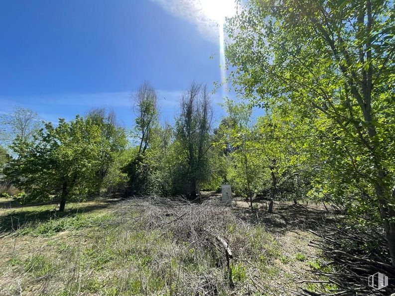 Suelo en venta en Polígono Industrial El Guijar, Arganda del Rey, Madrid, 28500 con cielo, planta, comunidad vegetal, paisaje natural, rama, árbol, nube, madera, pradera y arbusto alrededor