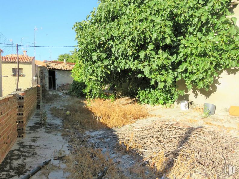 Land for sale at Arévalo, Arévalo, Ávila, 05200 with building, plant, leaf, sky, road surface, vegetation, land lot, tree, grass and neighbourhood around