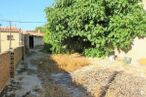 Suelo en venta en Arévalo, Arévalo, Ávila, 05200 con edificio, planta, hoja, cielo, superficie de carretera, vegetación, lote de tierra, árbol, hierba y barrio alrededor