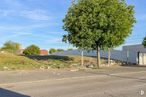 Land for sale at Calle San Mamés, 42, Villaverde, Madrid, 28021 with sky, plant, cloud, tree, asphalt, road surface, land lot, shade, grass and tar around