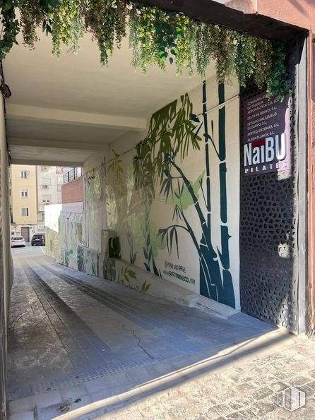 Retail for rent at Calle Cañas, 7, Ciudad Lineal, Madrid, 28016 with wall, composite material, sidewalk, concrete, walkway, graffiti, alley, street art and houseplant around