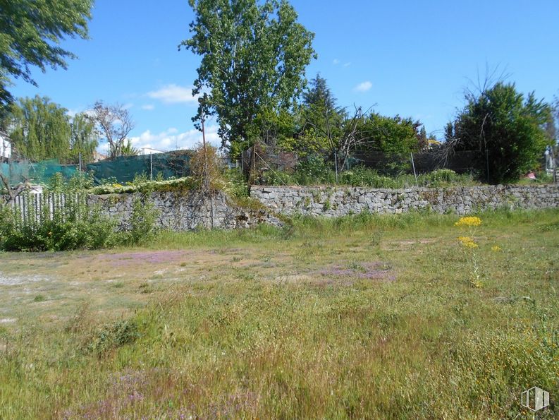 Suelo en venta en Casco urbano, Segovia, 40003 con cielo, planta, nube, paisaje natural, árbol, hierba, pastizal, cubierta vegetal, llanura y paisaje alrededor