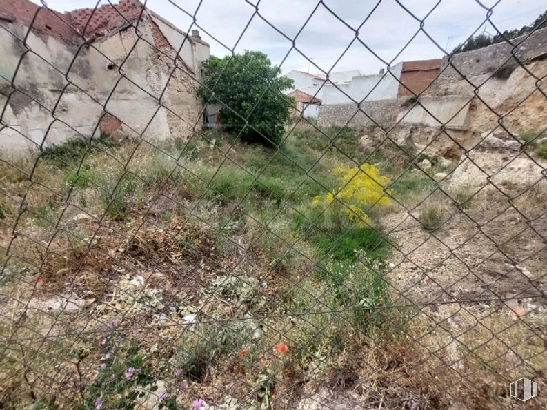 Land for sale at Travesía Castillejo, 15, Los Santos de la Humosa, Madrid, 28817 with plant, plant community, sky, fence, mesh, land lot, wire fencing, grass, flower and groundcover around