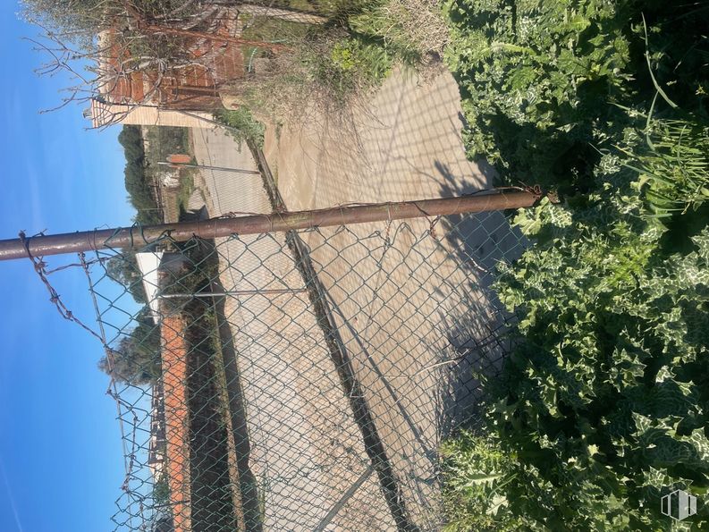 Land for sale at Camino de la Torre, Santa Cruz del Retamar, Toledo, 45513 with plant, sky, fence, mesh, land lot, wire fencing, tree, rural area, grass and home fencing around