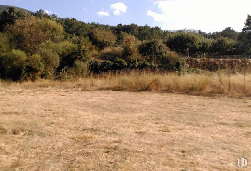 Suelo en venta en Avenida Portugal, Umbrías, Ávila, 05693 con cielo, planta, comunidad vegetal, nube, paisaje natural, hierba, árbol, paisaje, pradera y prado alrededor