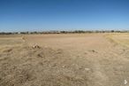 Land for sale at Los Cestos, Ciempozuelos, Madrid, 28350 with animal, sky, plant, tree, horizon, grass, grassland, road, landscape and aeolian landform around