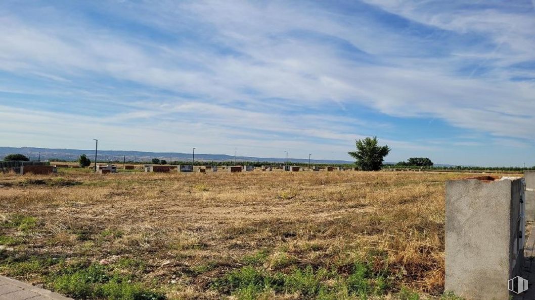 Land for sale at Avenida Bulevar Castilla La Mancha, 24, Marchamalo, Guadalajara, 19180 with cloud, sky, plant, ecoregion, natural landscape, land lot, tree, grass, grassland and plain around