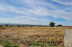 Land for sale at Avenida Bulevar Castilla La Mancha, 24, Marchamalo, Guadalajara, 19180 with cloud, sky, plant, ecoregion, natural landscape, land lot, tree, grass, grassland and plain around