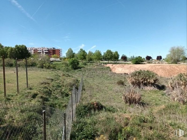 Land for sale at Calle Acebeda, Guadalajara, 19005 with sky, plant, ecoregion, tree, natural landscape, land lot, building, grassland, plain and landscape around