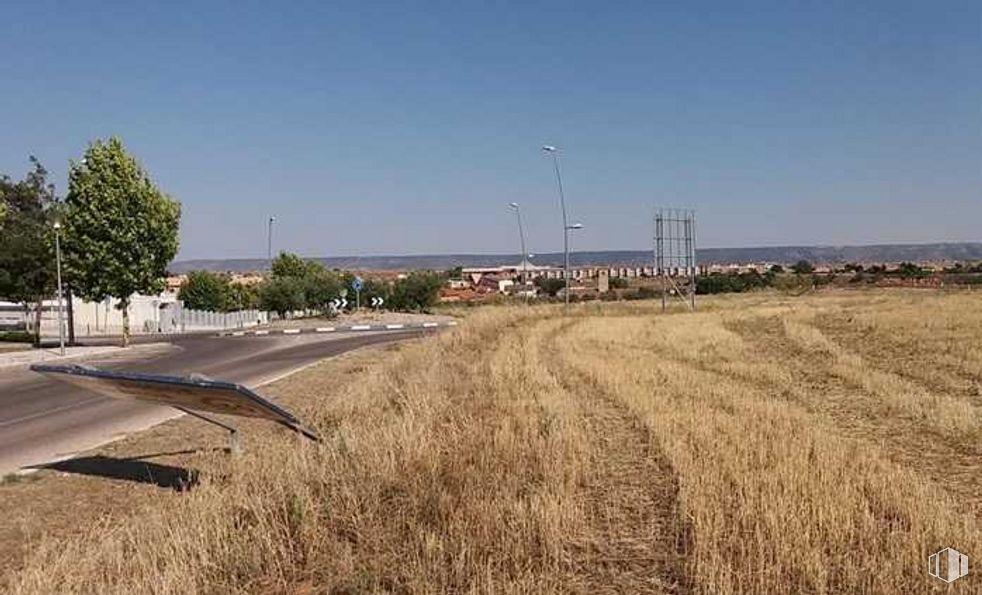 Suelo en venta en Calle Retamar, Villanueva de la Torre, Guadalajara, 19209 con animal, pájaro, cielo, planta, luz de la calle, árbol, lote de tierra, paisaje natural, llanura y paisaje alrededor