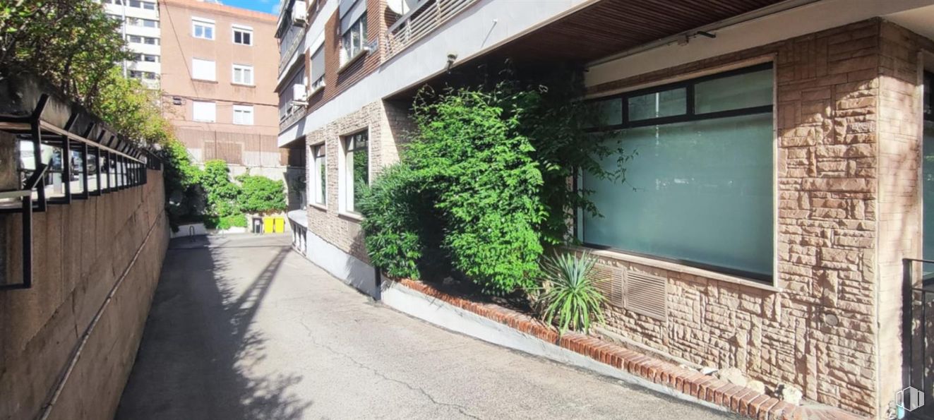 Oficina en alquiler en Paseo Habana, 35, Chamartín, Madrid, 28036 con ventana, casa, planta, propiedad, edificio, superficie de la carretera, asfalto, accesorio, diseño urbano y barrio alrededor