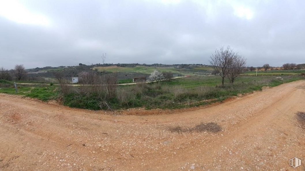 Land for sale at Calle Olivilla, 60, Corpa, Madrid, 28811 with cloud, sky, plant community, plant, natural landscape, land lot, tree, plain, grassland and grass around