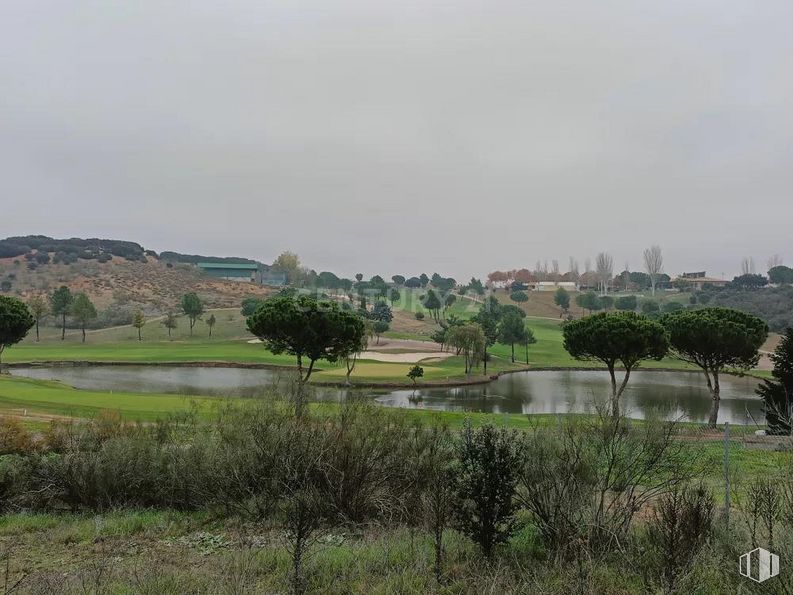 Land for sale at Zona campo de golf, Cabanillas del Campo, Guadalajara, 19171 with plant, sky, cloud, water resources, natural landscape, tree, grass, plain, landscape and lake around