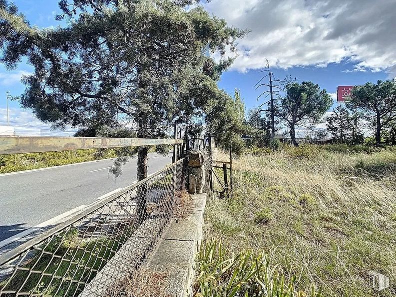 Suelo en venta en Carretera Coruña, Las Rozas de Madrid, Madrid, 28290 con planta, nube, cielo, comunidad de plantas, árbol, paisaje natural, rama, terreno, superficie de la carretera y pista alrededor