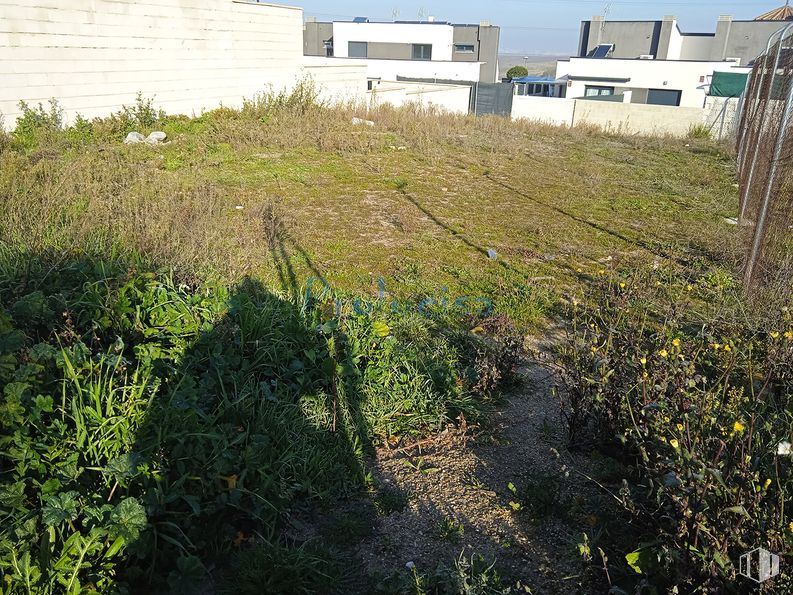 Oficina en venta en Avenida 25 de Noviembre, Moraleja de Enmedio, Madrid, 28950 con edificio, planta, comunidad vegetal, ventana, lote de terreno, hierba, pendiente, casa, agricultura y cubierta vegetal alrededor