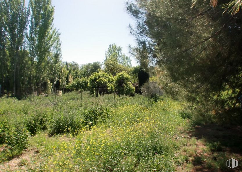 Suelo en venta en Zona Puerta de Murcia - Colegios, Ocaña, Toledo, 45300 con planta, cielo, paisaje natural, árbol, hierba, cubierta vegetal, pradera, paisaje, planta terrestre y arbusto alrededor