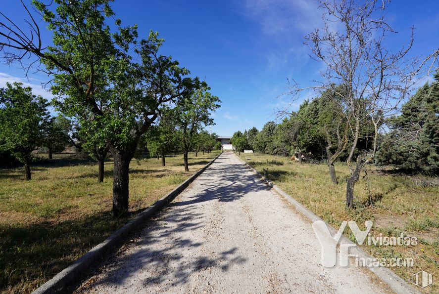 Suelo en venta en Zona polígono industrial Arboledas, Illescas, Toledo, 45200 con cielo, planta, nube, superficie de la carretera, árbol, rama, paisaje natural, lote de terreno, asfalto y vía pública alrededor