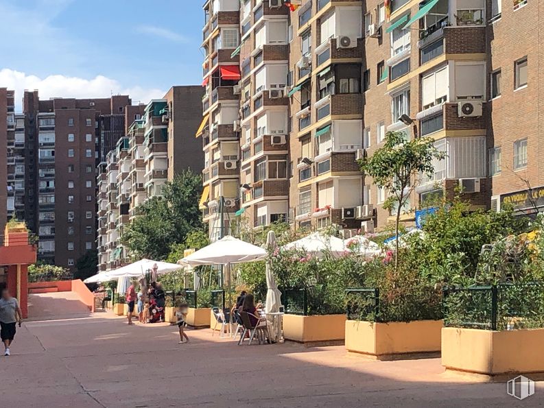 Local en alquiler y venta en Zona Moratalaz, Moratalaz, Madrid, 28030 con edificio, maceta, paraguas, persona, planta de interior, planta, día, propiedad, ventana y cielo alrededor