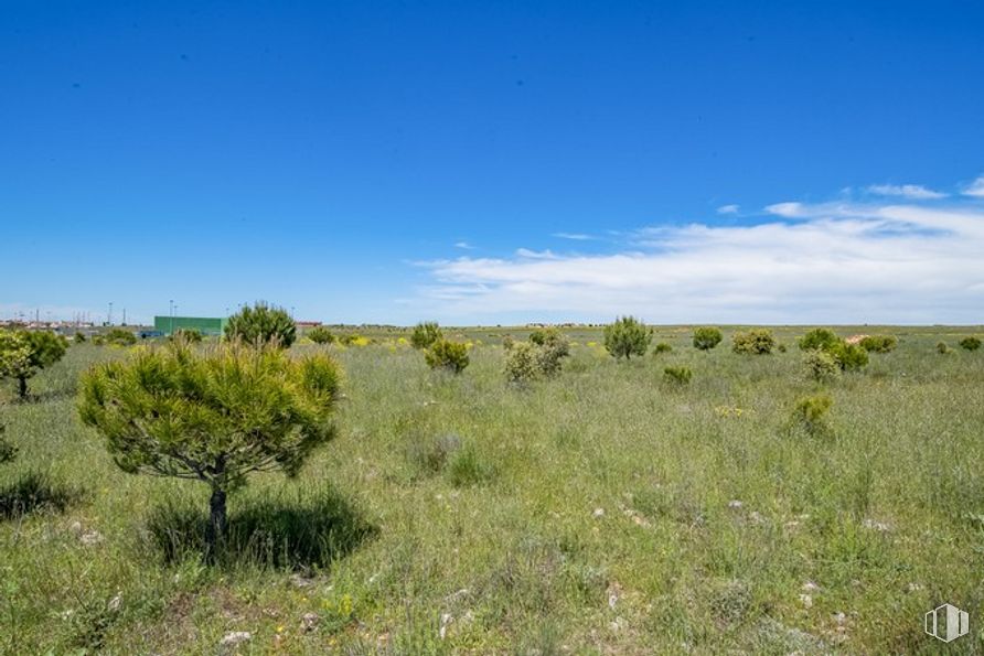 Suelo en venta en Las Zumaqueras, La Lastrilla, Segovia, 40196 con planta, cielo, nube, comunidad de plantas, paisaje natural, hierba, pastizal, paisaje, llanura y flor alrededor