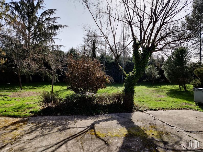 Suelo en venta en Colonia Fabra, Galapagar, Madrid, 28260 con planta, cielo, rama, sombra, paisaje natural, árbol, lote de terreno, superficie de la carretera, maletero y espacio público alrededor