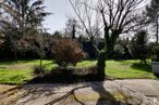 Land for sale at Colonia Fabra, Galapagar, Madrid, 28260 with plant, sky, branch, shade, natural landscape, tree, land lot, road surface, trunk and public space around