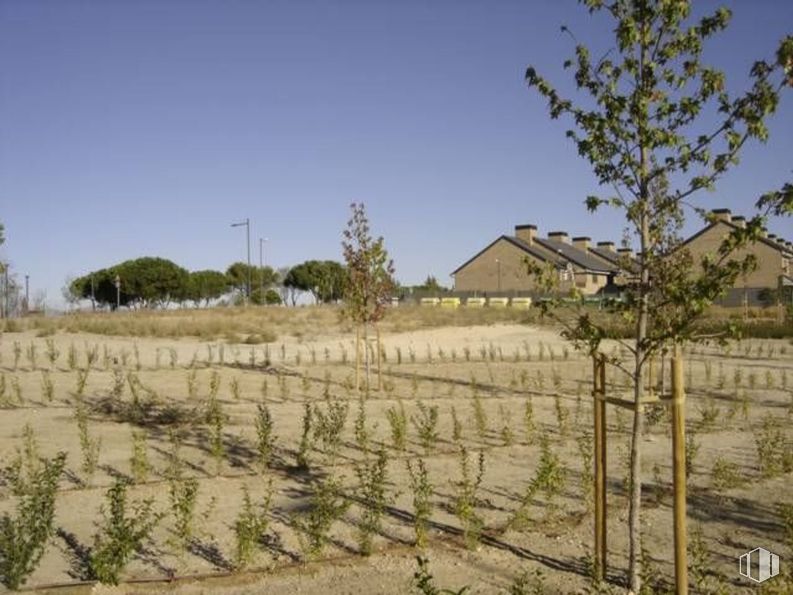 Suelo en alquiler en Zona Sector S, Boadilla del Monte, Madrid, 28660 con casa, cielo, planta, ecorregión, ventana, lote de terreno, árbol, paisaje natural, paisaje y agricultura alrededor