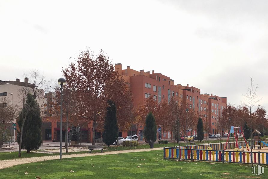 Retail for sale at Paseo Convivencia, 3, Torrejón de Ardoz, Madrid, 28850 with building, cloud, plant, sky, leaf, window, tree, grass, wall and urban design around