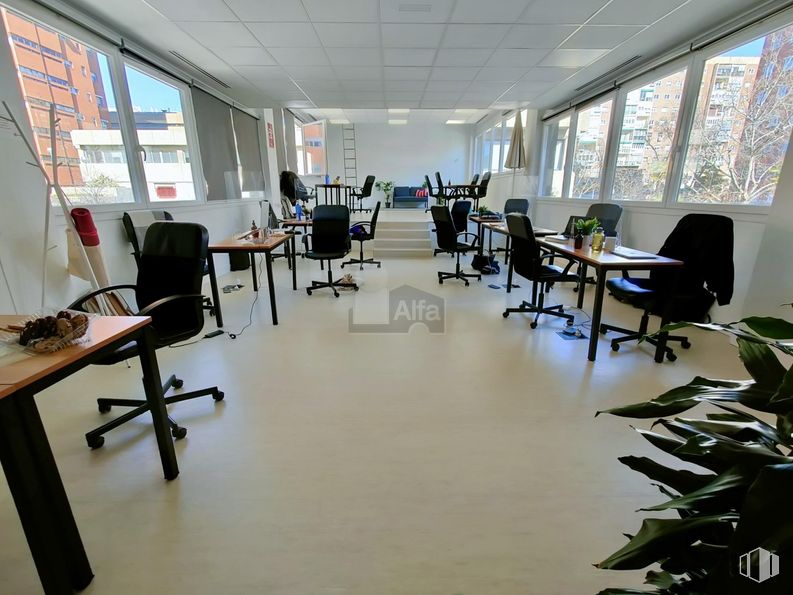 Office for rent at Calle Doctor Esquerdo, Retiro, Madrid, 28009 with chair, table, houseplant, furniture, interior design, flooring, office chair, floor, ceiling and desk around