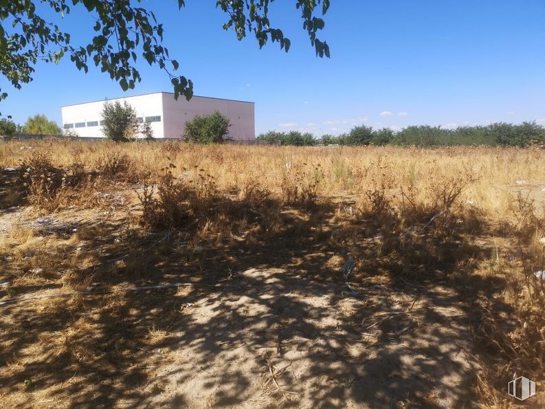 Suelo en venta en Calle Montes de Toledo, Illescas, Toledo, 45200 con edificio, cielo, planta, ecorregión, paisaje natural, lote de tierra, árbol, vegetación, agricultura y hierba alrededor