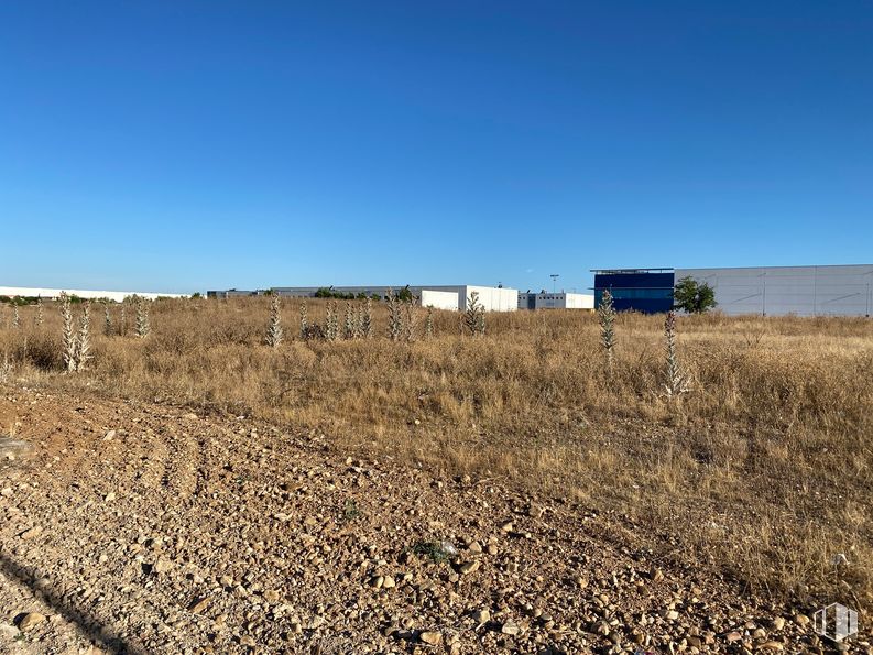 Land for sale at Avenida Artesanos, 5, San Fernando de Henares, Madrid, 28830 with sky, plant, land lot, natural landscape, agriculture, grass, plain, landscape, grassland and grass family around