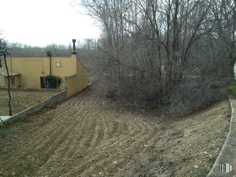 Land for sale at Camino Matadero, Cifuentes, Guadalajara, 19420 with building, plant, sky, branch, land lot, road surface, tree, slope, asphalt and wood around