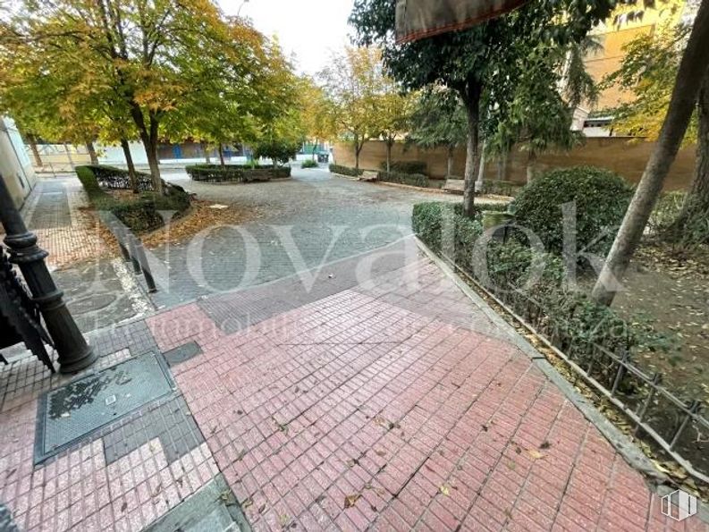 Local en alquiler en Zona Norte - Universidad, Móstoles, Madrid, 28933 con planta, árbol, superficie de la carretera, cielo, asfalto, edificio, diseño urbano, albañilería, barrio y zona residencial alrededor