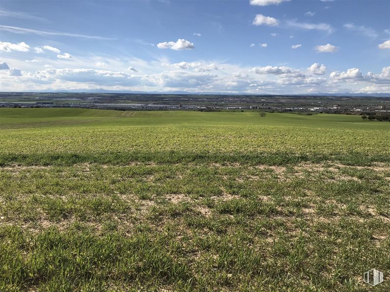 Land for sale at Finca Valdeapa, Chiloeches, Guadalajara, 19160 with cloud, sky, plant, natural landscape, people in nature, agriculture, grass, landscape, cumulus and horizon around