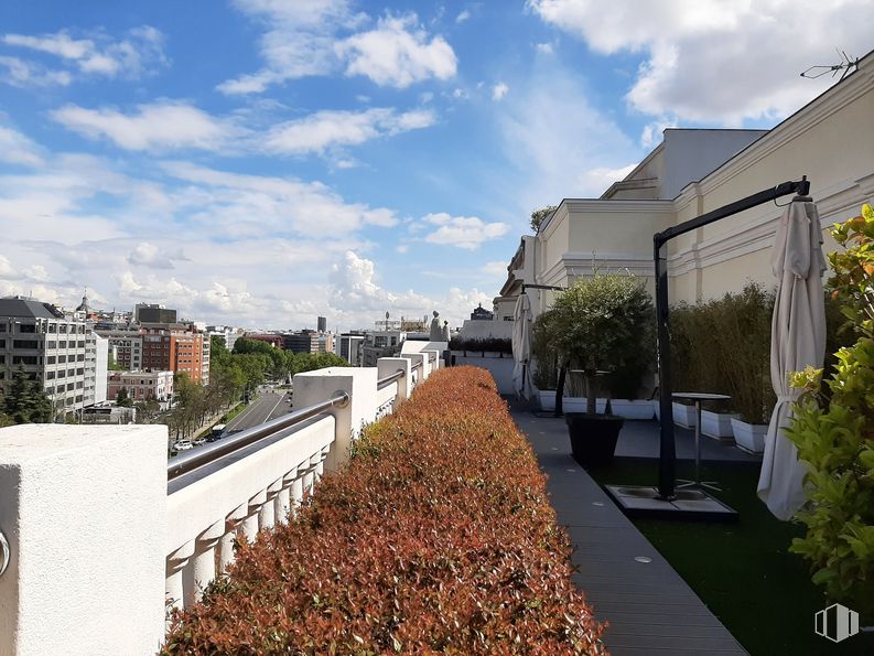 Oficina en alquiler en Paseo Castellana, 55, Chamberí, Madrid, 28046 con edificio, planta de interior, nube, cielo, planta, diseño urbano, hierba, árbol, condominio y superficie de la carretera alrededor