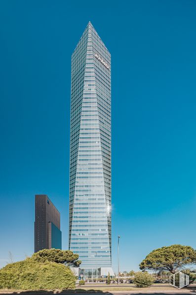 Office for rent at Torre Cristal, Paseo Castellana, 259 C, Fuencarral - El Pardo, Madrid, 28046 with building, skyscraper, plant, sky, tower, tower block, condominium, urban design, tree and cityscape around