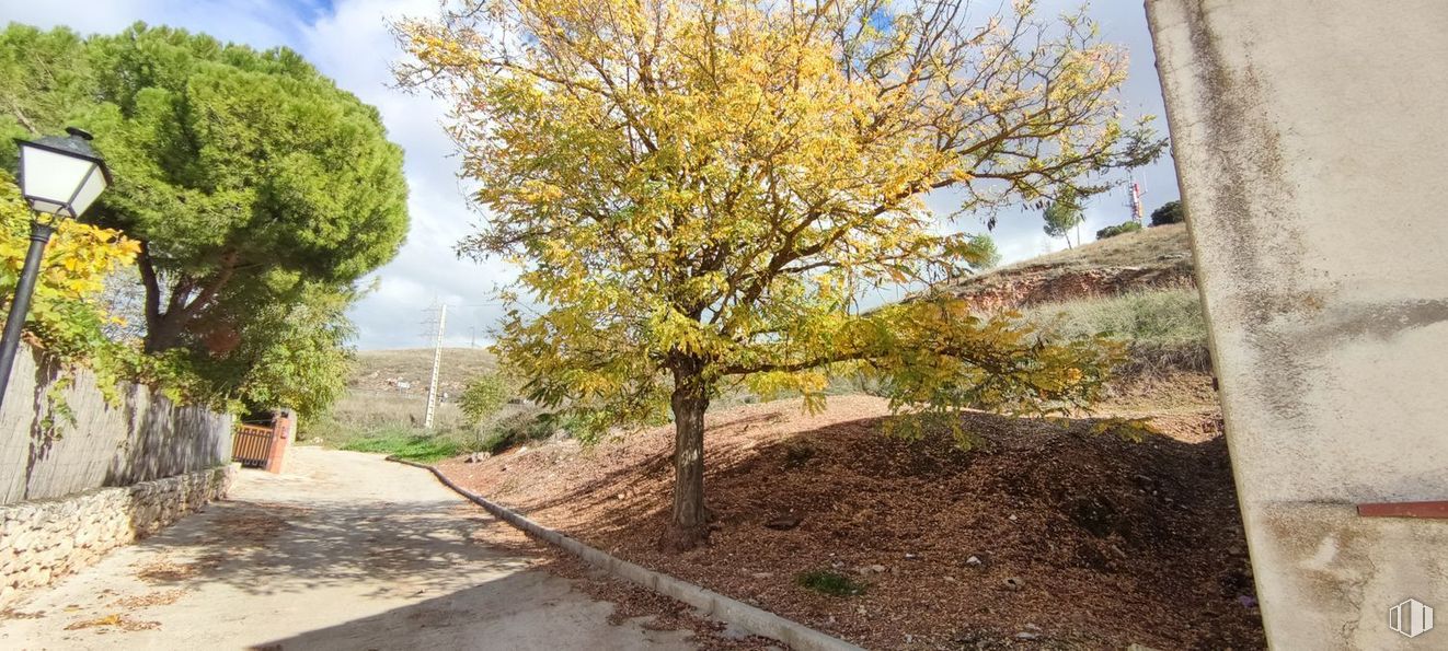 Suelo en venta en Calle Sol, Olmeda de las Fuentes, Madrid, 28515 con espejo, cielo, planta, nube, árbol, rama, superficie de la carretera, vegetación, amarillo y paisaje natural alrededor