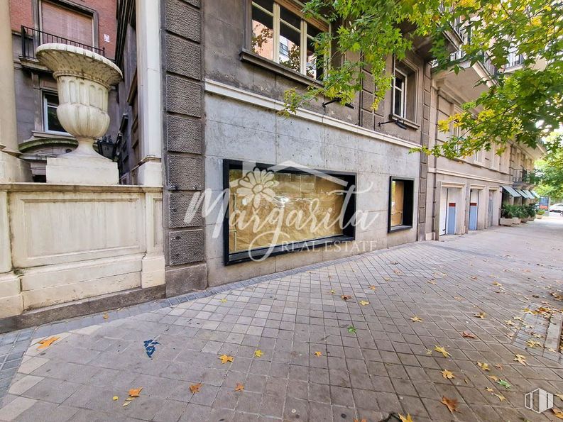 Local en venta en Calle Quintana, Moncloa - Aravaca, Madrid, 28008 con ventana, edificio, superficie de la carretera, árbol, asfalto, suelos, planta, madera, pared y casa alrededor