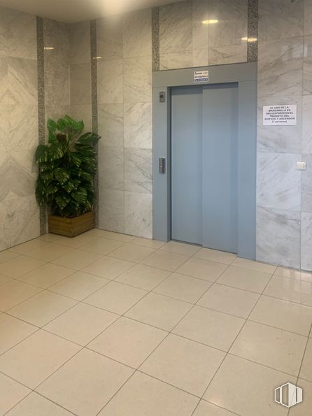 Oficina en alquiler en Calle Mayor, 50, Alcorcón, Madrid, 28921 con planta de interior, planta, puerta, accesorio, maceta, suelos, suelo, suelo de baldosas, madera y techo alrededor