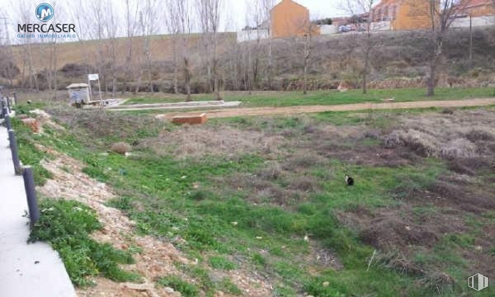 Land for sale at Calle Fuente, Torrejón del Rey, Guadalajara, 19174 with plant, land lot, tree, natural landscape, grass, grassland, groundcover, sky, landscape and meadow around