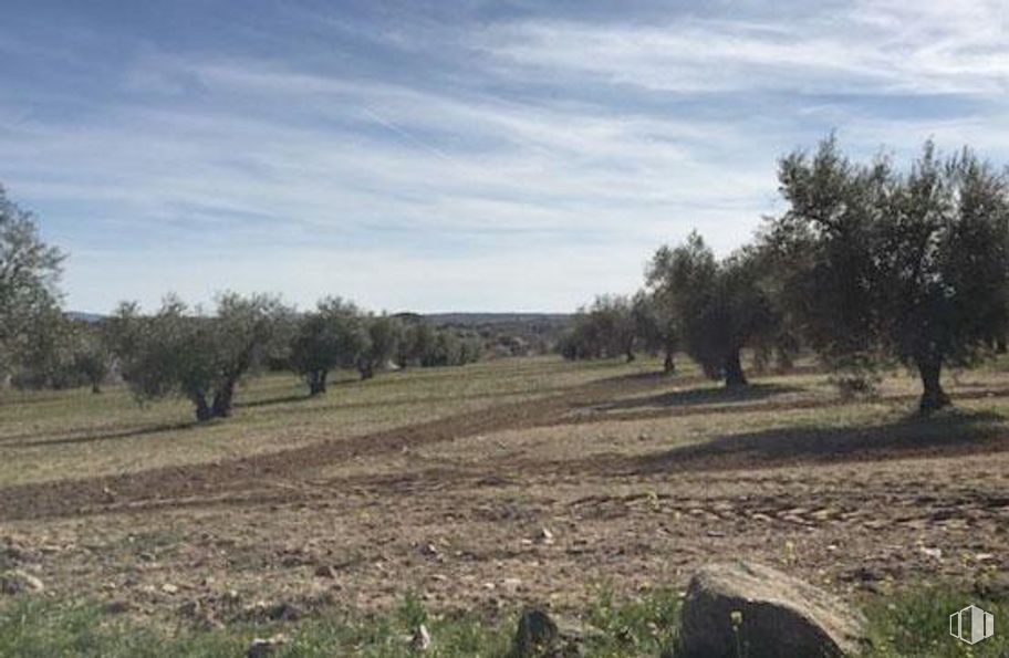 Land for sale at Polígono 28 Parcela 33, Villamuelas, Toledo, 45749 with animal, sky, cloud, plant, tree, natural landscape, horizon, wood, grassland and grass around